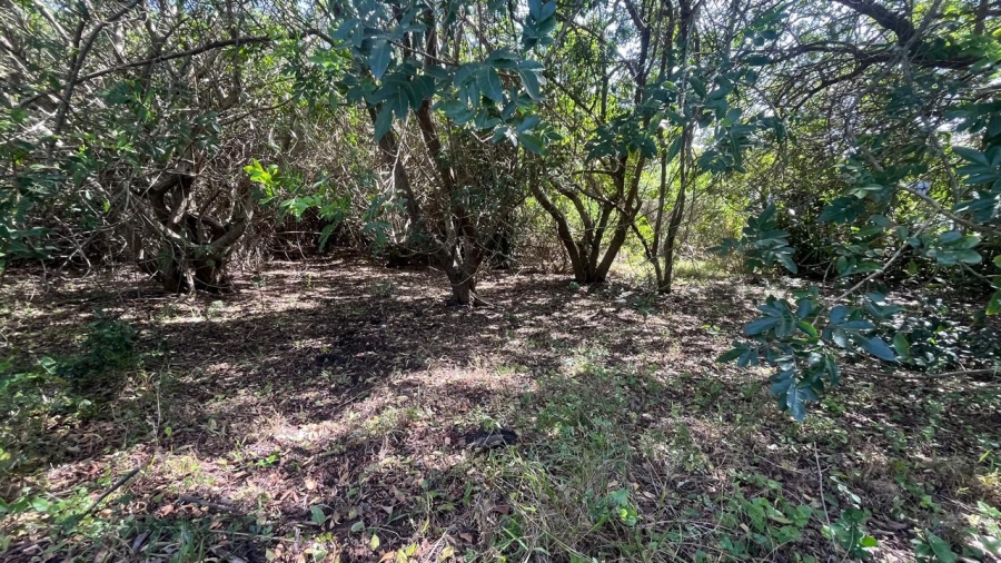 Commercial Property for Sale in Paradise Beach Eastern Cape